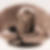 Profilbild von Gudrun Knopf