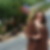 Profilbild von Bettina Wiese