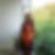 Profilbild von Carmen Osl