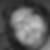 Profilbild von Marco Tamburin