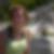 Profilbild von Alexandra Steger