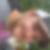Profilbild von Michael Reisbeck