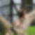 Profilbild von Andrea Geis