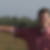 Profilbild von Gerhard Dirks