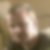 Profilbild von Rainer Hänel