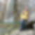 Profilbild von Holger Sack