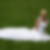 Profilbild von Nicole Trantow