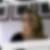 Profilbild von Andrea Pryk