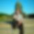 Profilbild von David Seelig