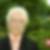 Profilbild von Klaus Alm