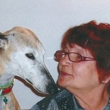 Profilfoto von Irene Halabi †