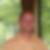 Profilbild von Thomas Deutscher