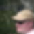 Profilbild von Andreas Blume