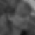 Profilbild von Nina Falentin