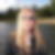 Profilbild von Kerstin Leibovitz