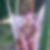Profilbild von Ramona Stengler