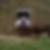 Profilbild von Ralph Hanisch