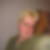 Profilbild von Katja Mühleis