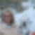 Profilbild von Elke Witt