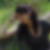 Profilbild von Annette Schiller-Hill