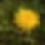 Profilbild von Thomas Harting