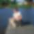 Profilbild von Susanne Gresch
