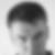 Profilbild von Daniel Schwarz