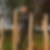 Profilbild von Friedhelm Hartding