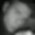 Profilbild von Stave Julian
