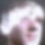 Profilbild von Marcel Majunke