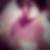 Profilbild von Jasmin Arndt