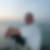 Profilbild von Tim Hedrich 