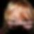 Profilbild von Brigitte Witte