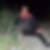 Profilbild von Lars Scheverling