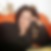 Profilbild von Heike Pallas