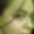 Profilbild von Efi Venetis