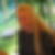 Profilbild von Claudia Ganser