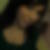 Profilbild von Jasmin Kuntzig