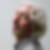 Profilbild von Bernd Torchala