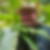 Profilbild von Ulrich Graf