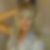 Profilbild von Ines Grosche