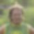 Profilbild von Thomas Hauser