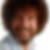 Profilfoto von Bob Ross