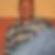 Profilbild von Robert Ernst