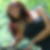 Profilbild von Silke Kretschmann