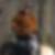 Profilbild von Gunter Frank