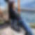 Profilbild von Liane Jung