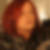 Profilbild von Beatrix Lehnhoff - Jahnel