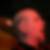 Profilbild von Hans-Joachim Eberle