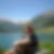 Profilbild von Katharina Becker